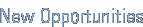 New Opportunities