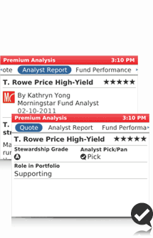 Image of stock analysis screen of Morningstar BlackBerry application